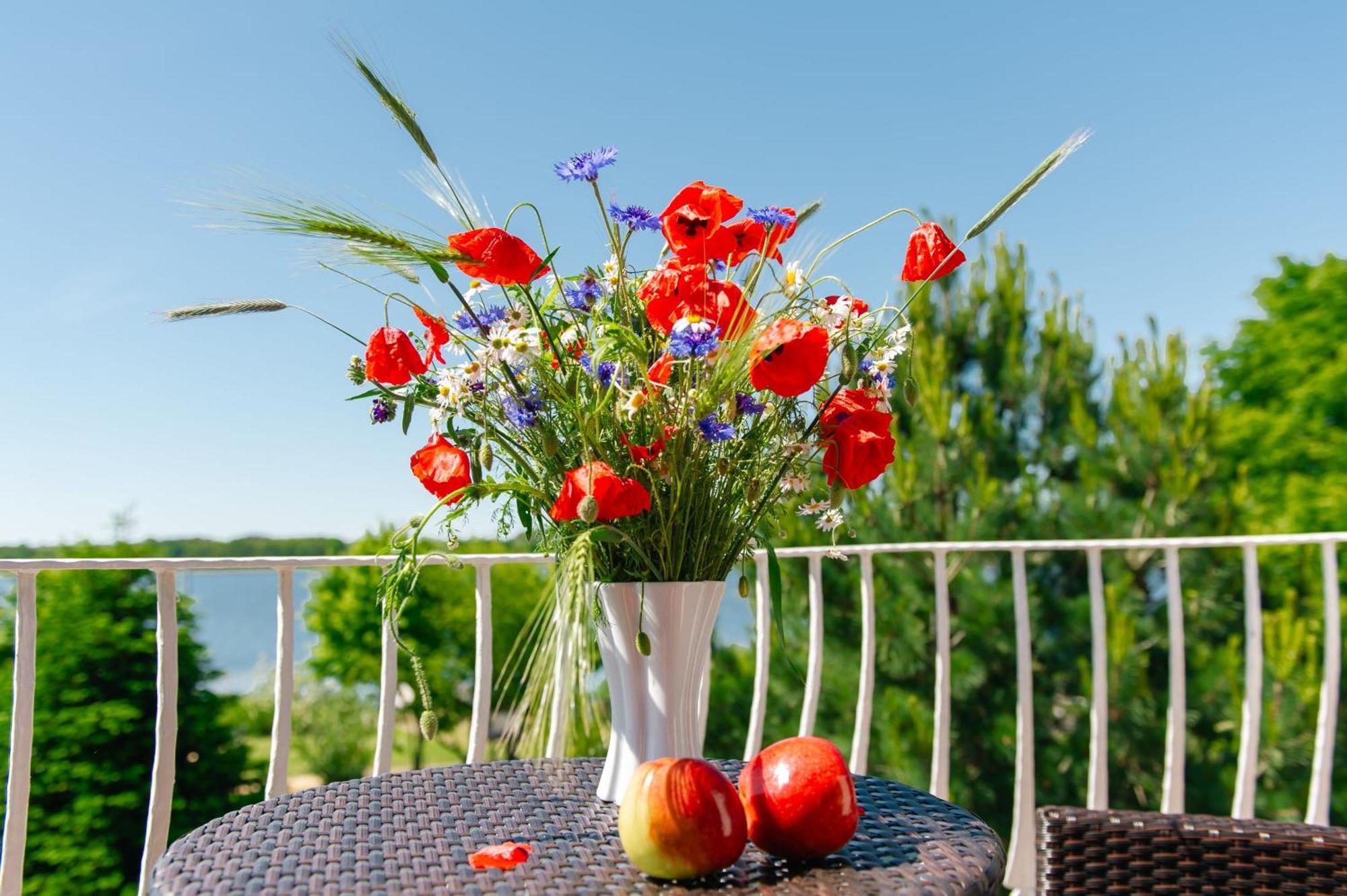 Selliner Ferienappartements Mit Balkon Und Seeblick Exterior photo